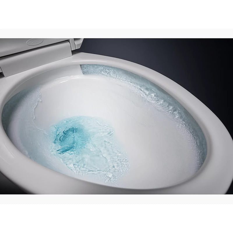 Cimarron Comfort Height Elongated Toilet Bowl in Ice Grey