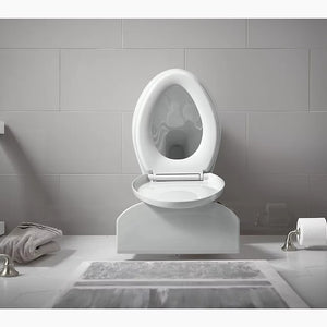 Cimarron Comfort Height Elongated 1.28 gpf Skirted Two-Piece Toilet in White