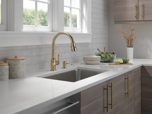 Broderick Pull-Down Kitchen Faucet in Champagne Bronze