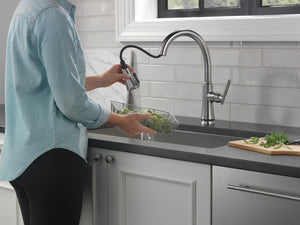 Coranto Pull-Down Kitchen Faucet in Arctic Stainless