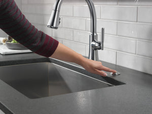 Coranto Pull-Down Kitchen Faucet in Arctic Stainless