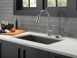 Emmeline Pull-Down Kitchen Faucet in Lumicoat Arctic Stainless