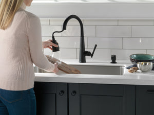 Emmeline Pull-Down Kitchen Faucet in Matte Black