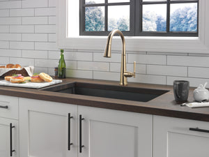 Emmeline Pull-Down Kitchen Faucet in Lumicoat Champagne Bronze
