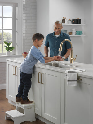Emmeline Pull-Down Kitchen Faucet in Lumicoat Champagne Bronze