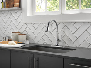 Emmeline Pull-Down Touchless Kitchen Faucet in Lumicoat Arctic Stainless