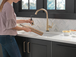 Delta Emmeline Pull Down Touchless Kitchen Faucet in Lumicoat