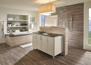 Tesla Widespread Two-Handle Bathroom Faucet in Stainless