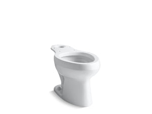 Wellworth Elongated Toilet Bowl in White with Antimicrobial Finish