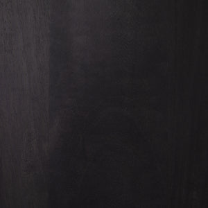 Leighton Cabinet in Black Wash Mango & Black Iron (39' x 18' x 86')