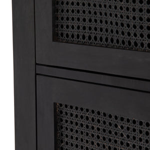 Leighton Cabinet in Black Wash Mango & Black Iron (39' x 18' x 86')