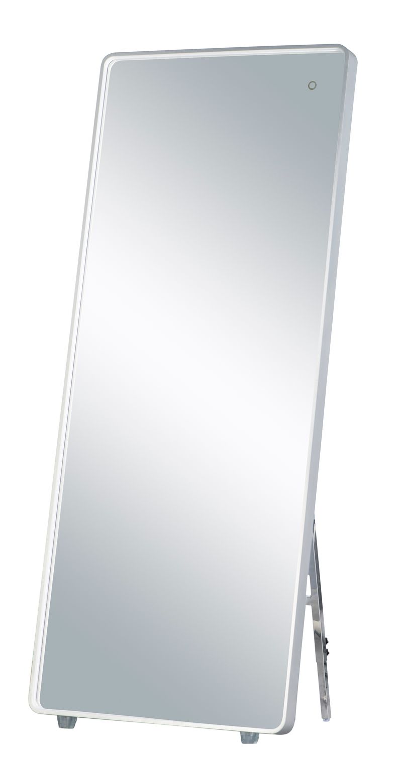 Mirror 27.5' x 67' Single Light LED Mirror in Brushed Aluminum