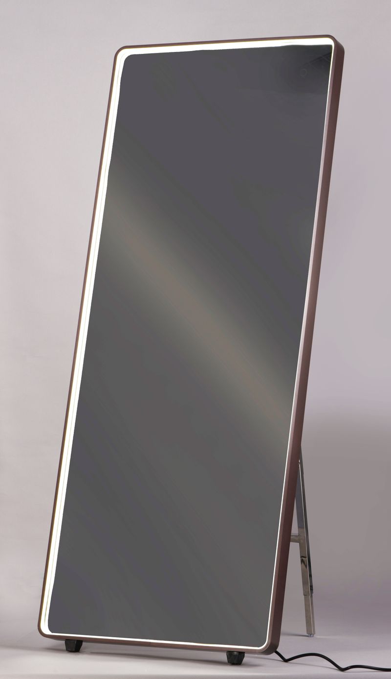Mirror 27.5' x 67' Single Light LED Mirror in Anodized Bronze
