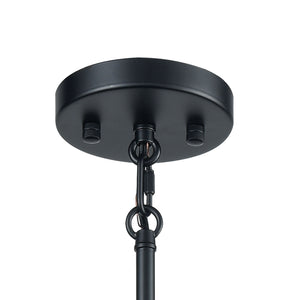 Livingston 29' 10 Light Chandelier in Matte Black