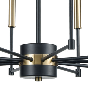 Livingston 29' 10 Light Chandelier in Matte Black