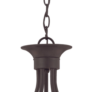 Tahoe 24' 5 Light Chandelier in Painted Bronze