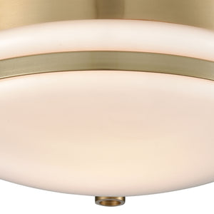 Riley 10' 1 Light Flush Mount in Satin Brass