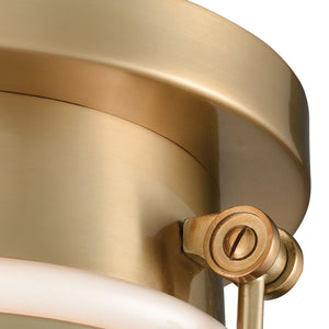 Riley 10' 1 Light Flush Mount in Satin Brass