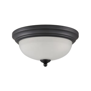 Basics 11' 2 Light Flush Mount in Black