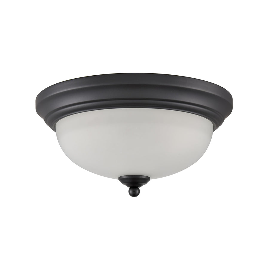 Basics 11' 2 Light Flush Mount in Black