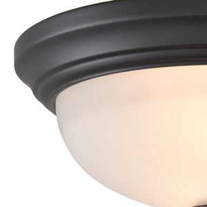 Basics 11' 2 Light Flush Mount in Black