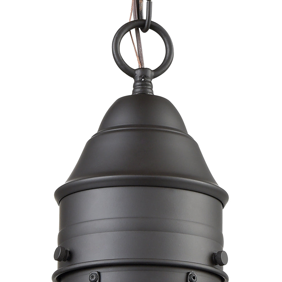 Onion 1 Light Pendant in Oil Rubbed Bronze