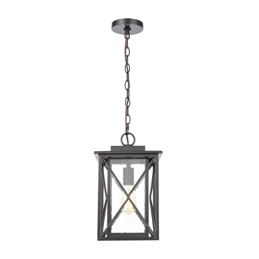 Carriage Light 1 Light Pendant in Matte Black