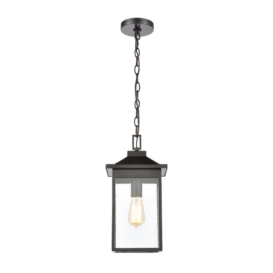 Lamplighter 1 Light Pendant in Matte Black