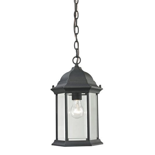 Spring Lake 1 Light Pendant in Matte Textured Black