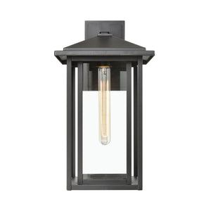 Solitude 9' 1 Light Sconce in Matte Black