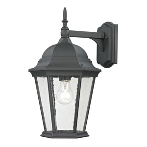 Temple Hill 18' 1 Light Sconce in Matte Textured Black