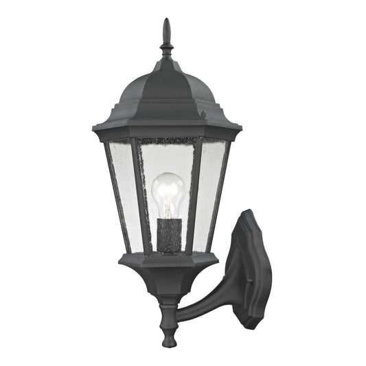 Temple Hill 21" 1 Light Sconce in Matte Textured Black