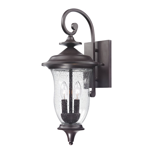 Trinity 9" 2 Light Sconce in Oil Rubbed Bronze