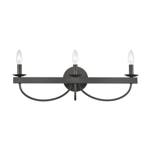 Williamson 24' 3 Light Vanity Light in Black