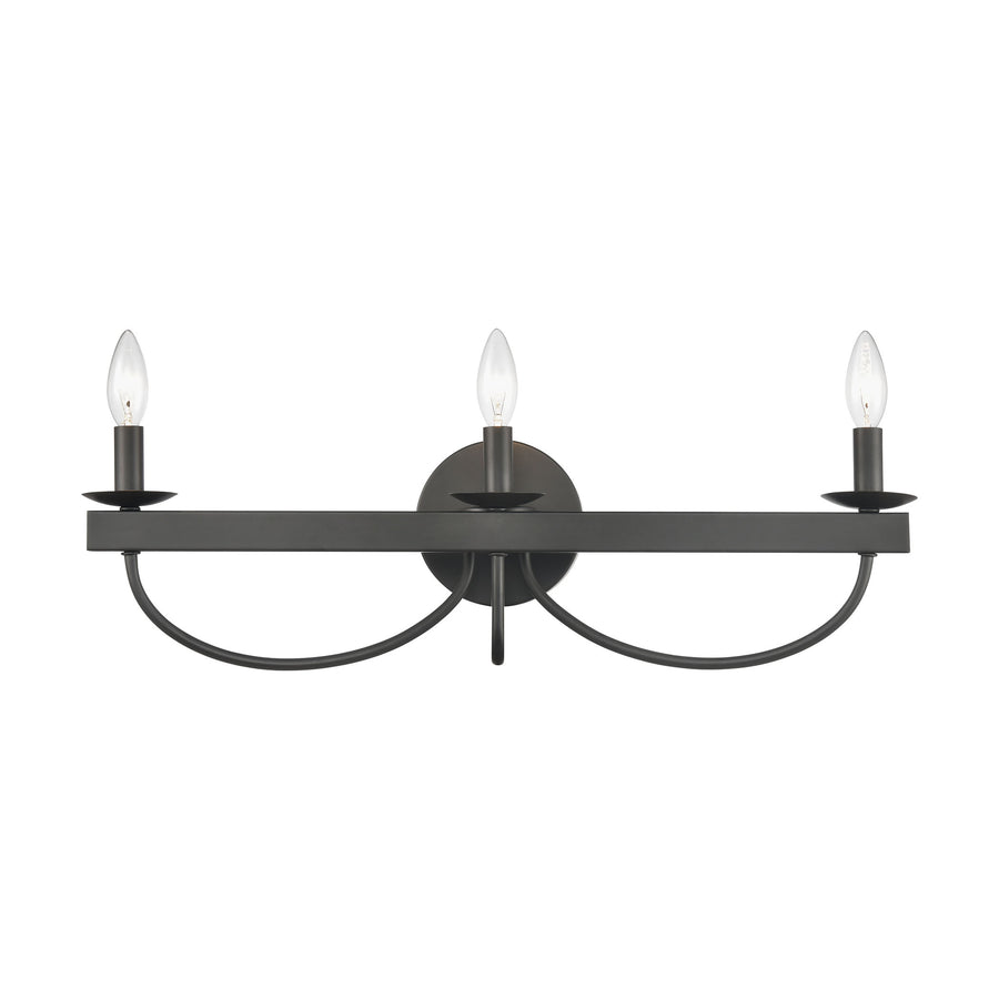 Williamson 24' 3 Light Vanity Light in Black