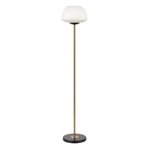 Ali Grove 62' Floor Lamp in Aged Brass