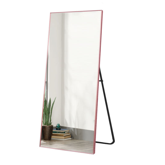 64-in H x 21-in W Metal Framed Full Length Mirror