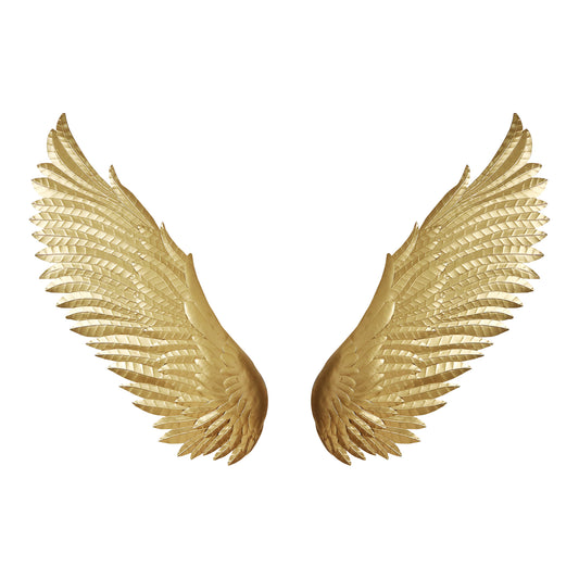 Moe's Home Wings Wall Sculpture in Gold (26" x 54" x 2") - HZ-1023-32