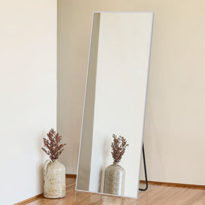 64-in H x 21-in W Metal Framed Full Length Mirror