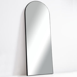 64-in H x 21-in W Arched Top Mirror