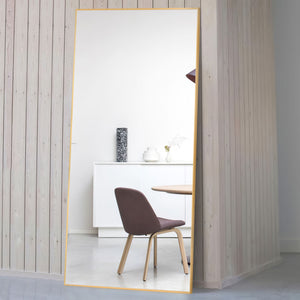 71-in H x 24-in W Metal Framed Full Length Free-standing Mirror
