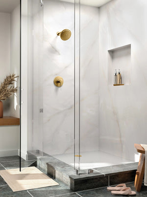 Align 6.5' 1.75 gpm 1 Handle Shower Only Faucet in Brushed Nickel