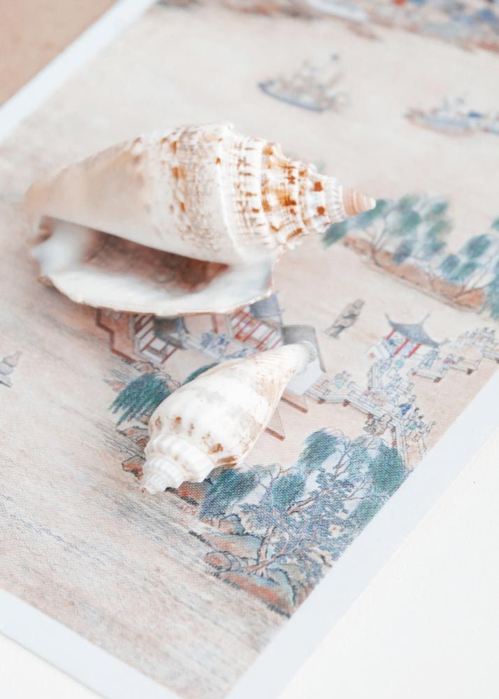 coastal cottage color scheme inspired by seashell